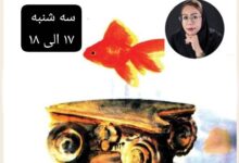 WhatsApp Image 2025-09-01 at 16.48.04.jpeg